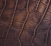  Antigue Crocodile