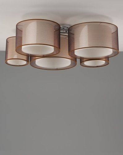 Светильник потолочный Moderli V10624-5C Room