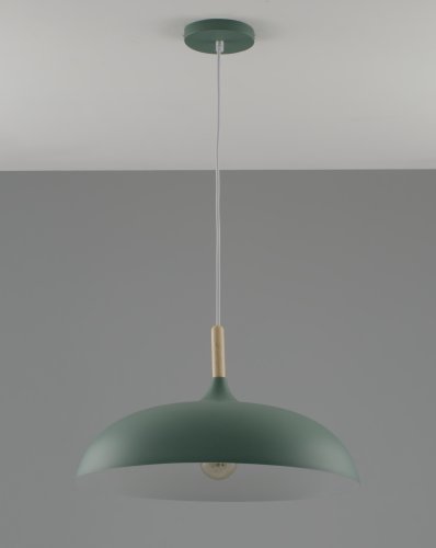 Подвесной светильник Moderli V10656-1P Hygo