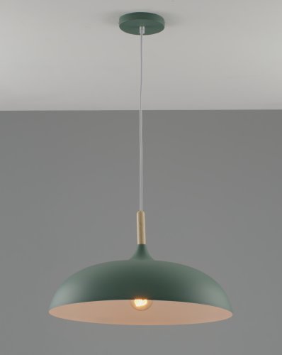 Подвесной светильник Moderli V10656-1P Hygo