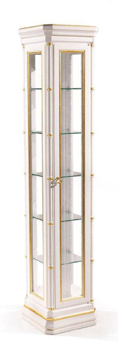 Витрина Angelo cappellini Accessories 0924/A