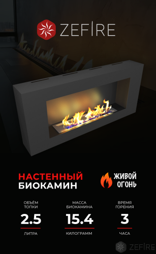Биокамин Orion 900