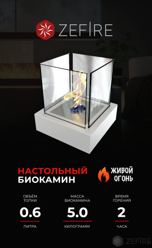 Биокамин Quant metall белый