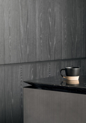Кухня Mittel Cucine Techno Elegance