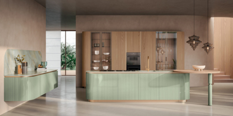 Кухня Aster cucine Domina