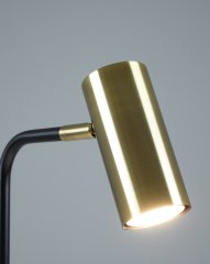 Лампа настольная Moderli V11002-TL Fine