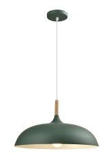 Светильник подвесной Moderli V11453-1P Hygo