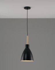 Подвесной светильник Moderli V1281-1P Toni