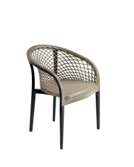 Стул в столовую Busnelli Decor Elektra wood