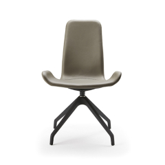 Стул в столовую Cattelan italia Flamingo