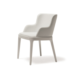 Стул в столовую Cattelan italia Magda