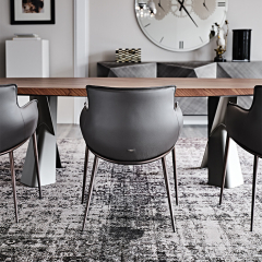Стул в столовую Cattelan Italia Rhonda