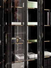 Витрина Visionnaire Windsor