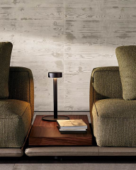 Диван Minotti Horizonte