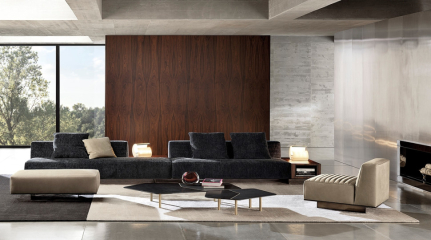 Диван Minotti Roger