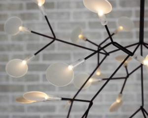 Люстра Heracleum D50